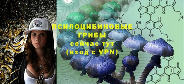 индика Белоозёрский