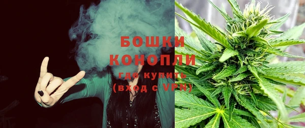 индика Белоозёрский