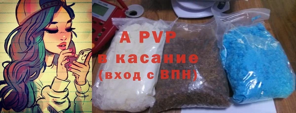 шишки Беломорск