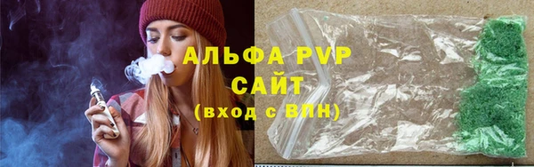 индика Белоозёрский