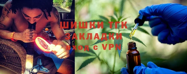 шишки Беломорск