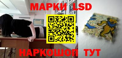 spice Абакан
