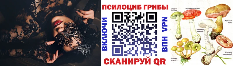 Галлюциногенные грибы ЛСД  маркетплейс какой сайт  Сегежа 