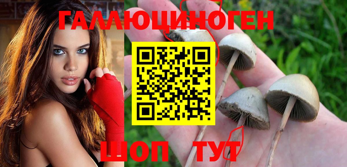 Сегежа  Галлюциногенные грибы Magic Shrooms  где найти   Галлюциногенные грибы мухоморы  Вход с VPN 