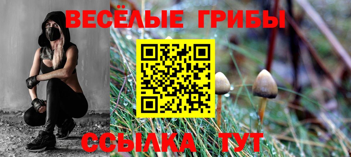 Псилоцибиновые грибы мухоморы  Вход с VPN  где можно купить наркотик  Сегежа 