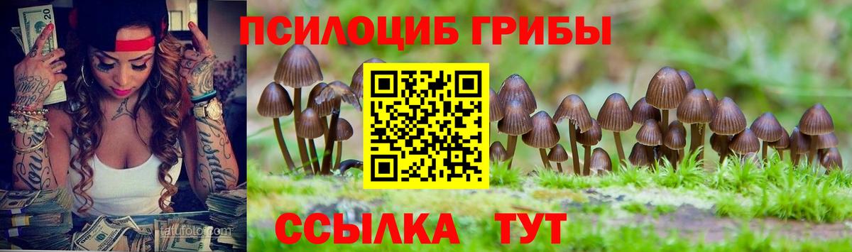 Псилоцибиновые грибы прущие грибы Сегежа
