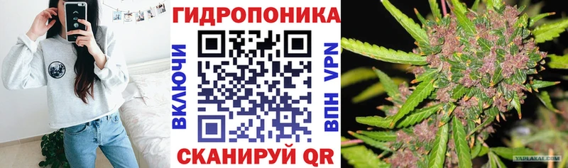 Конопля Ganja  купить наркотики сайты  Сегежа 